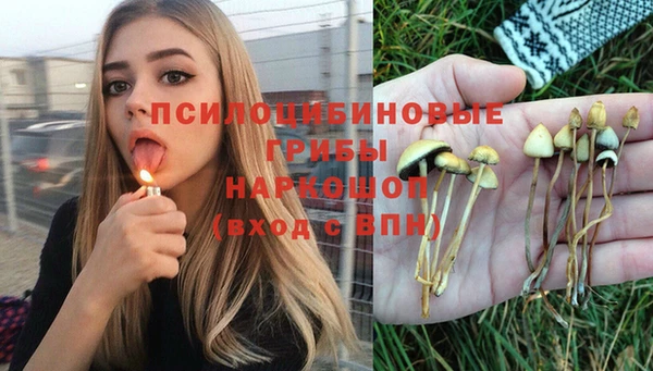 скорость Бородино