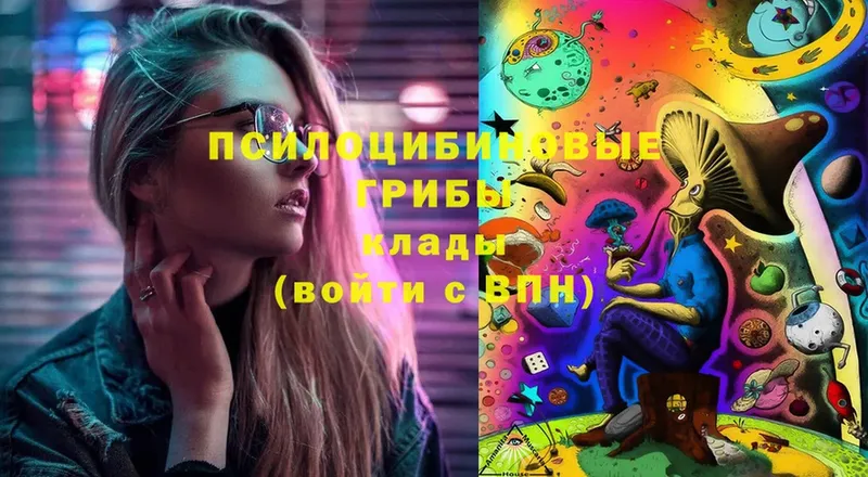 Галлюциногенные грибы Cubensis  Мытищи 